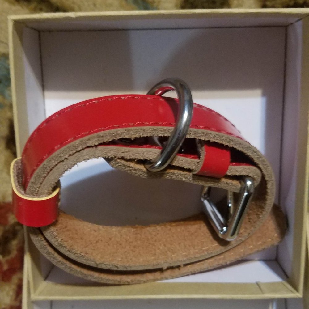 New Trevano Genuine Leather Dog Collar with Alloy Buckle